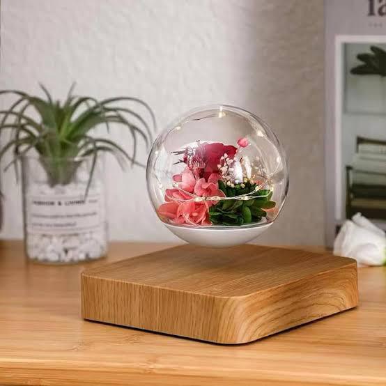 Magnetic levitating eternal flower Lamp
