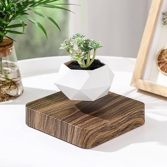 Magnetic Levitating Plant Pot