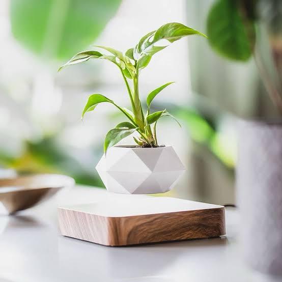 Magnetic Levitating Plant Pot